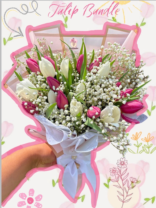 20 TULIP BUNDLE