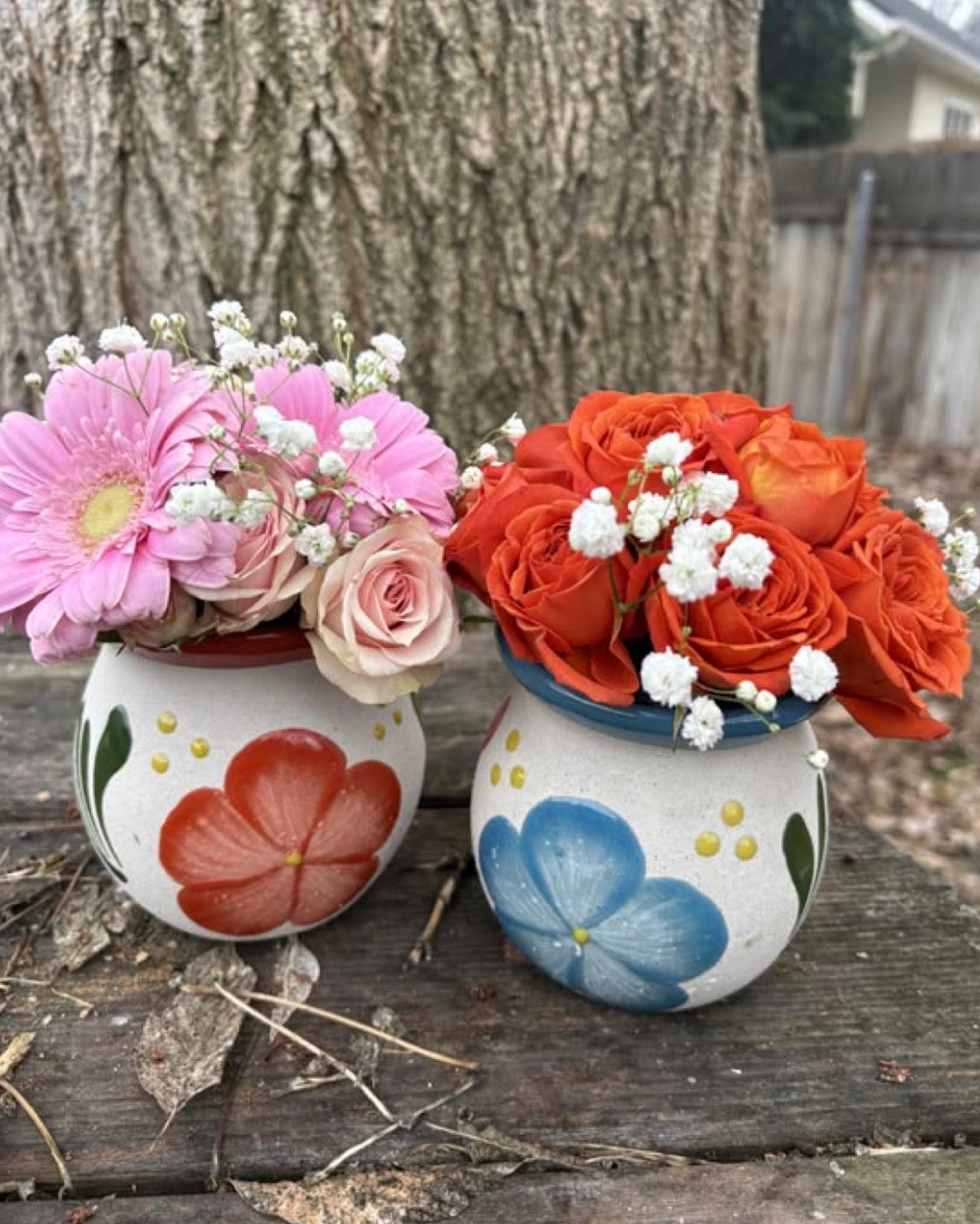 Ollita Freestyle Cups